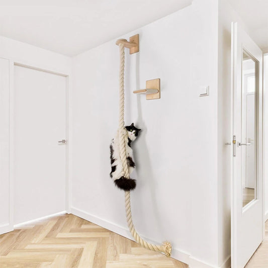 Arbre à Chat | La Corde