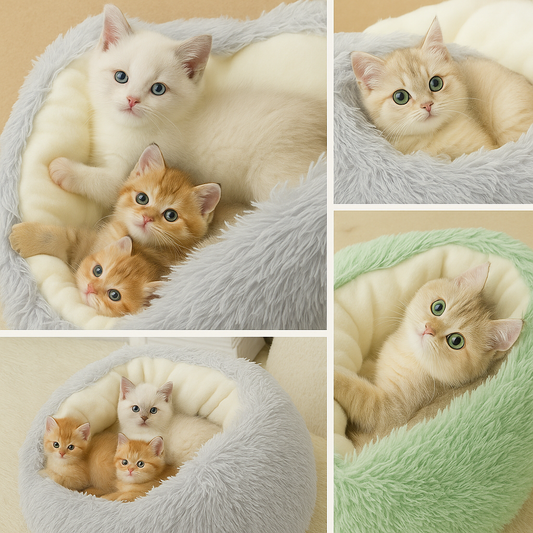 Panier Pour Chat | Style Pantoufle