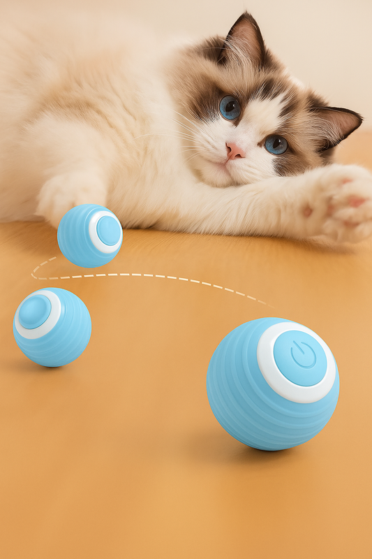 Jouet Interactif Pour Chat | Le Speedy