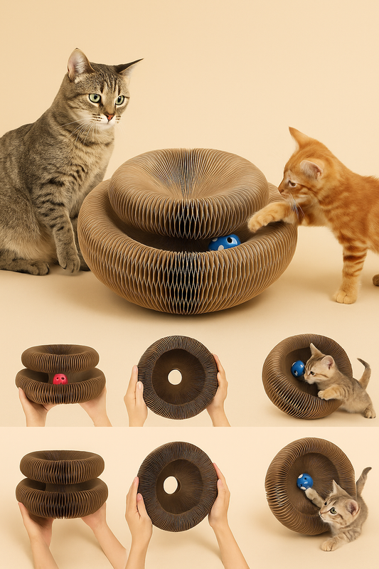 Jouets Interactifs Pour Chat | L'Accordéon